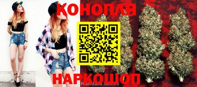 соль ск Будённовск