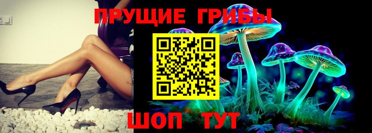 Псилоцибиновые грибы мухоморы  Вход с VPN  Псилоцибиновые грибы мухоморы  Новый Уренгой 