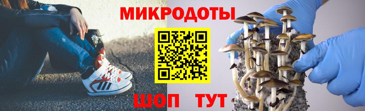 Галлюциногенные грибы Psilocybe Новый Уренгой